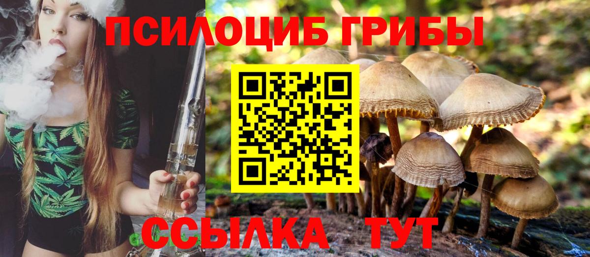Псилоцибиновые грибы ЛСД  Вход с VPN  Ессентуки 