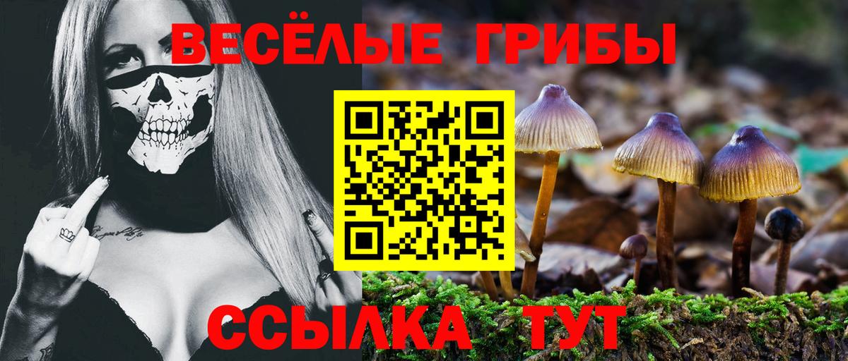 Псилоцибиновые грибы Magic Shrooms Ессентуки